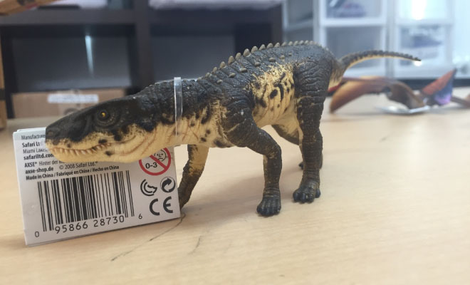 ティラノサウルス　孵化　アメリカ　safari 社　フィギュア 61wmtILotTS._UF350,350_QL50_.jpg